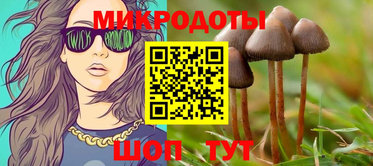 как найти закладки  Вход с VPN  Зеленокумск  Галлюциногенные грибы Psilocybe 